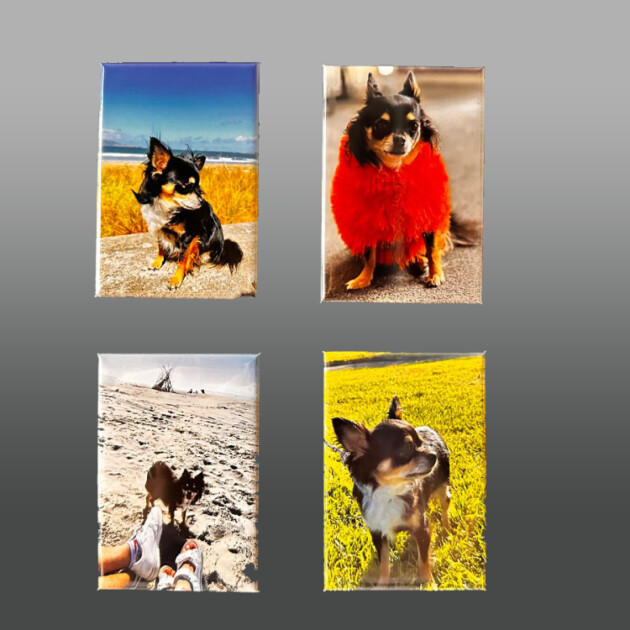 Photo Fridge Magnets (Set of 4)