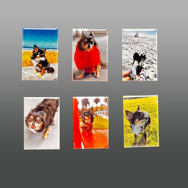 Photo Fridge Magnets (Set of 6)